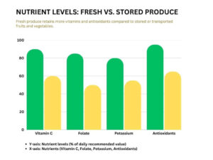 fographic comparing nutrient levels in fresh vs. stored produce