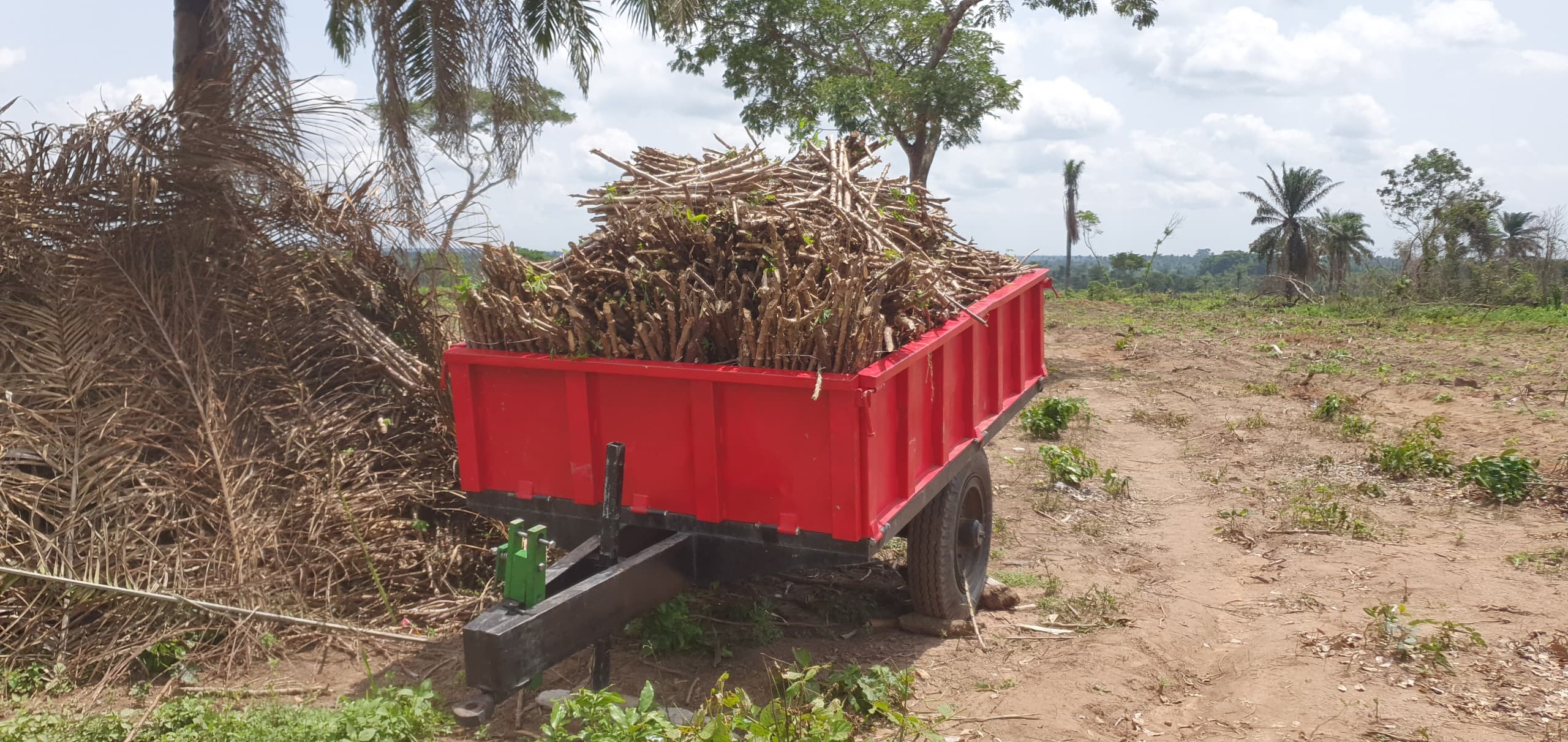 Mechanized Cassava Farming in Kogi State